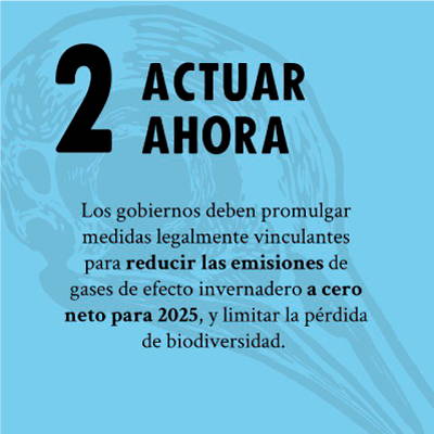 ACTUAR AHORA - Los gobiernos deben promulgar medidas legalmente vinculantes para reducir las emisiones de gases de efecto invernadero a cero neto para 2025, y limitar la perdida de biodiversidad.