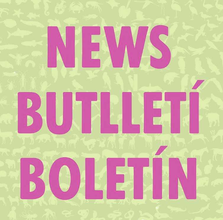 Butlletí