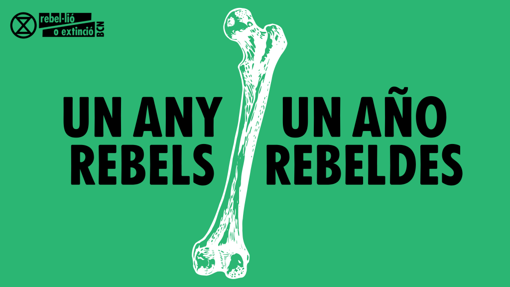 Un año rebeldes